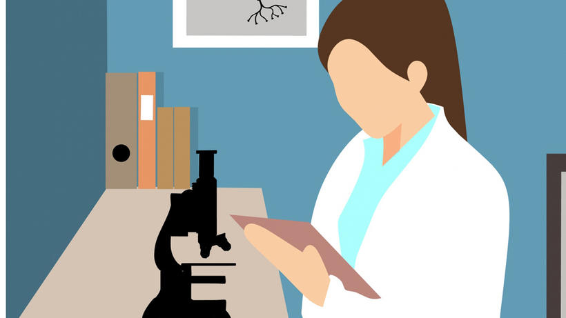 Geschlecht und Vielfalt sind häufig wichtige Faktoren bei der Forschung. - Bild: PublicDomainPictures