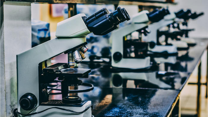 Bild: Ousa Chea / Unsplash